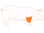 Ubicación del corte Codillo de Cerdo