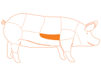 Ubicación del corte Costilla de Cerdo Premium