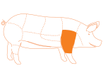 Ubicación del corte Carne Molida de Cerdo