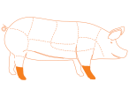 Ubicación del corte Pata de Cerdo