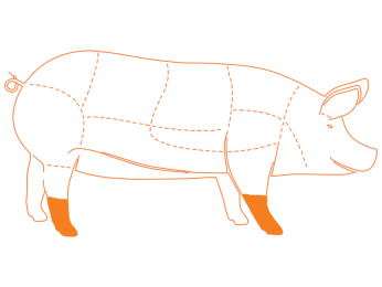 Ubicación del corte Pata de Cerdo